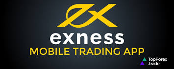 Understanding Exness Promotions Size Get the Most Out of Your Trading Experience Understanding Exness Promotions Size Get the Most Out of Your Trading Experience