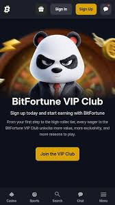 Join Bitfortune Channels Your Gateway to the Ultimate Crypto Casino Experience